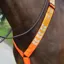 Shires Equi-Flector Breastplate - Orange